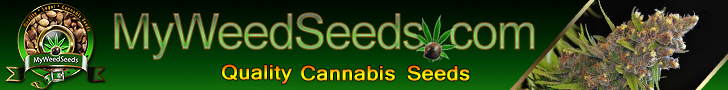 Don't Hesitate To Hook Yourself Up With A Premier Canadi-Endo Seed Bank That Features A Wide And Varied Selection Of High Quality Indoor, Outdoor, And Feminized Cannabis Seeds.