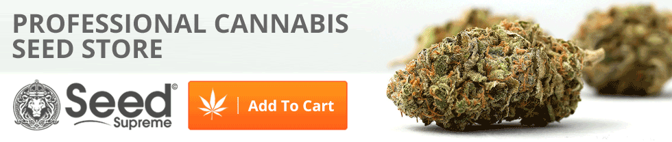 This seed bank is an exceptionally invaluable asset for anyone in the market for cannabis seeds that are feminized, auto-flowering, or particularly high in THC or CBD content. Their selection includes the dankest and stickiest pot strains from all over the world (including new and interesting hybrids) along with fantastic deals and flash sales on all seeds in stock, up to date industry related news, and everyone receives free seeds just for signing up to their bi-monthly newsletter.