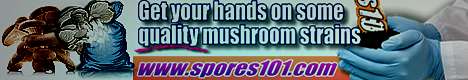 Rest Assured, Spores101 Is A Reliable And Respected Online Supplier Of Quality Spores And A Whole Lot More With A Long Standing Reputation For Superior Service.
